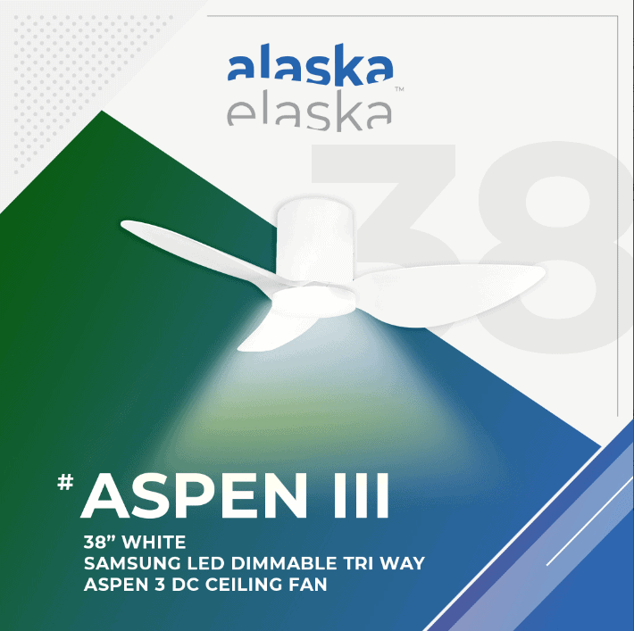 ASPEN III 38 WH