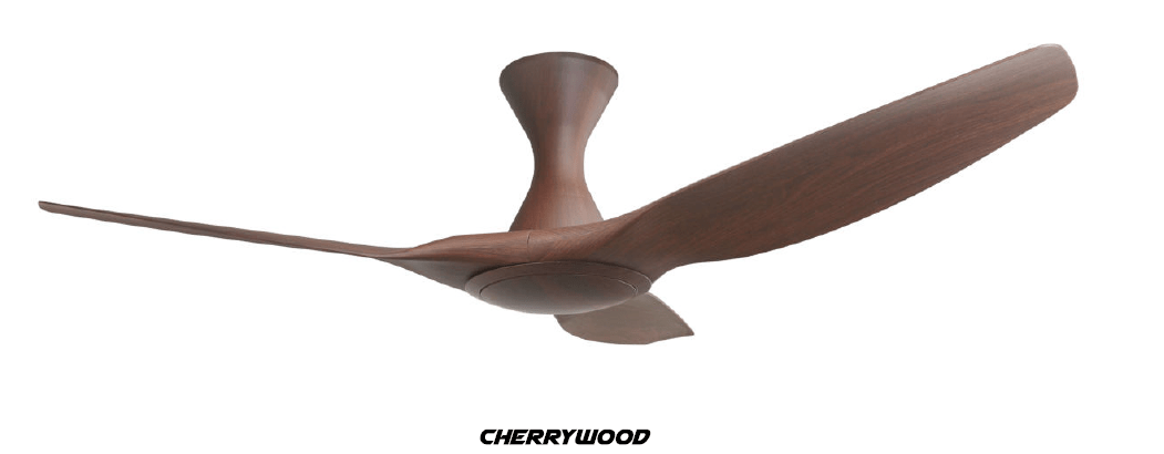 CYCLONE CW