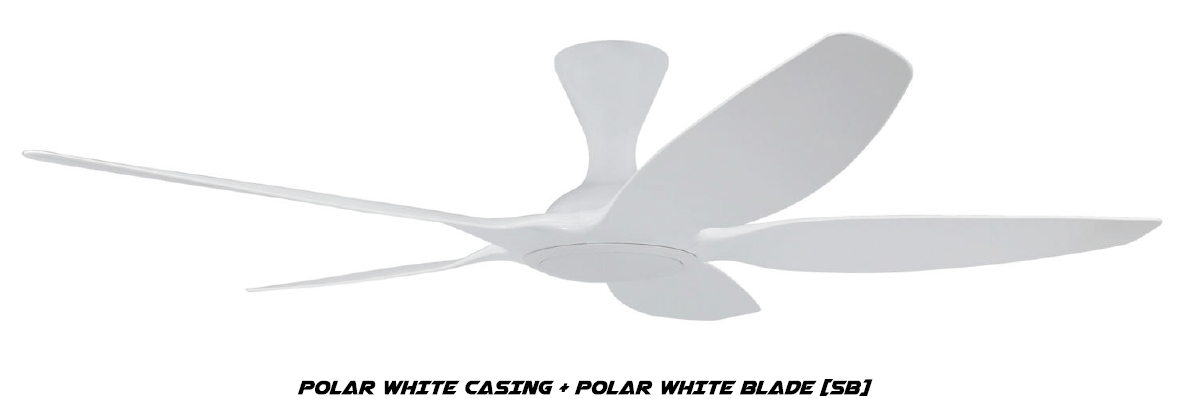 CYCLONE WH