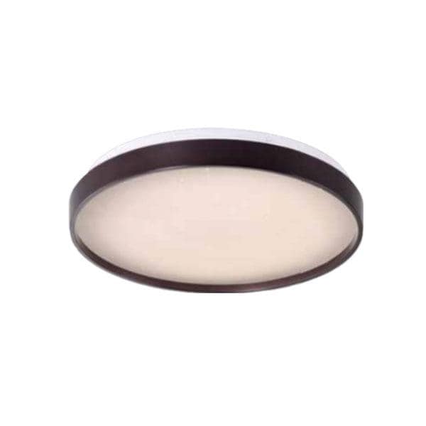 LUZ 4663 CEILING LIGHT