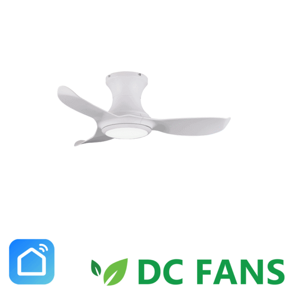ACORN VOGA DC-368H LED & NL (38″)
