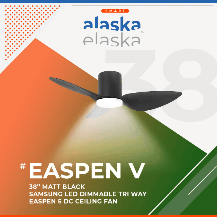 EASPEN V 38 BK