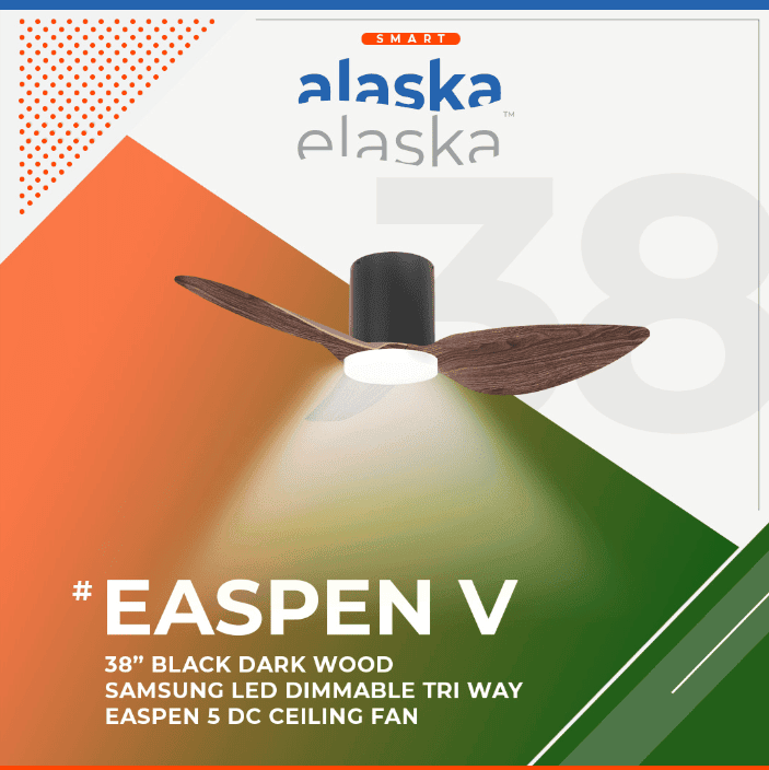 EASPEN V 38 BK+DW