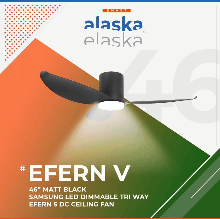 EFERN V 46 BK