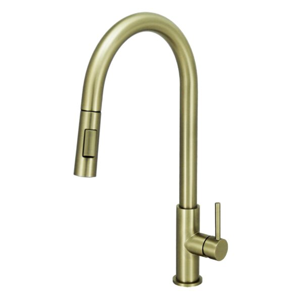 FIDELIS FT-67N5C-HBG PULL-OUT DUAL FUNCTION WASH HEAD KITCHEN SINK TAP - BRUSHED GOLD