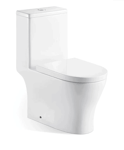VASILE V596 ONE-PIECE WATER CLOSET